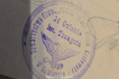 Towarzystwo Gimnastyczne Sokół Zawiercie