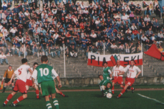 zaglebie-viret-2